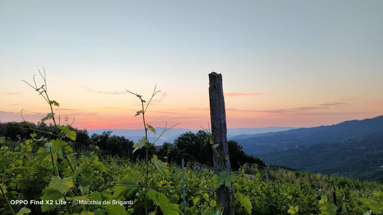Agriturismo Macchia Dei Briganti - B&B Montefalcione Kültér fotó