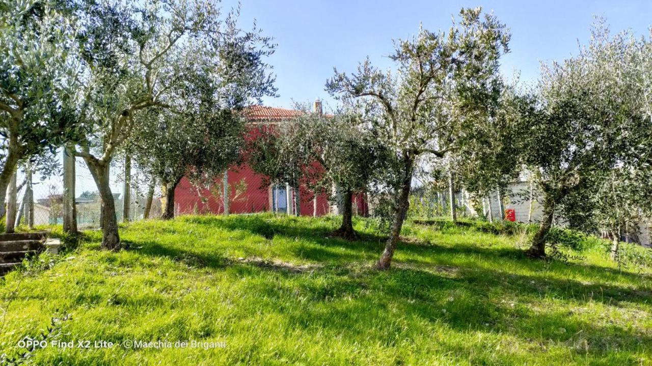 Agriturismo Macchia Dei Briganti - B&B Montefalcione Kültér fotó