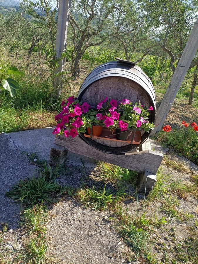 Agriturismo Macchia Dei Briganti - B&B Montefalcione Kültér fotó