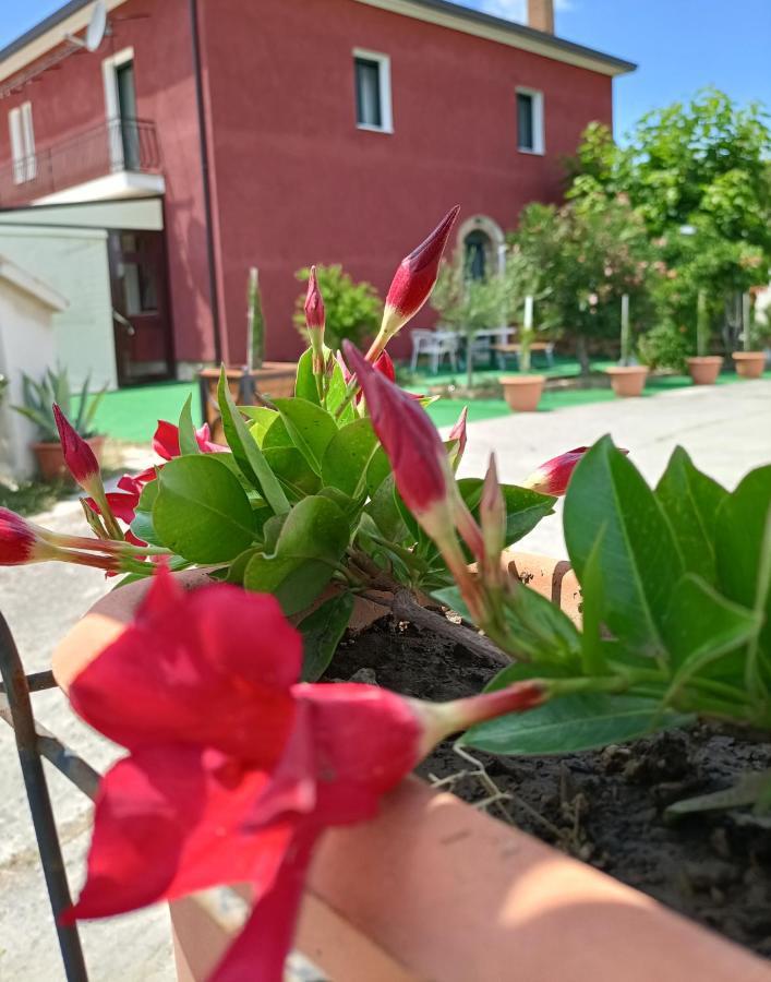 Agriturismo Macchia Dei Briganti - B&B Montefalcione Kültér fotó